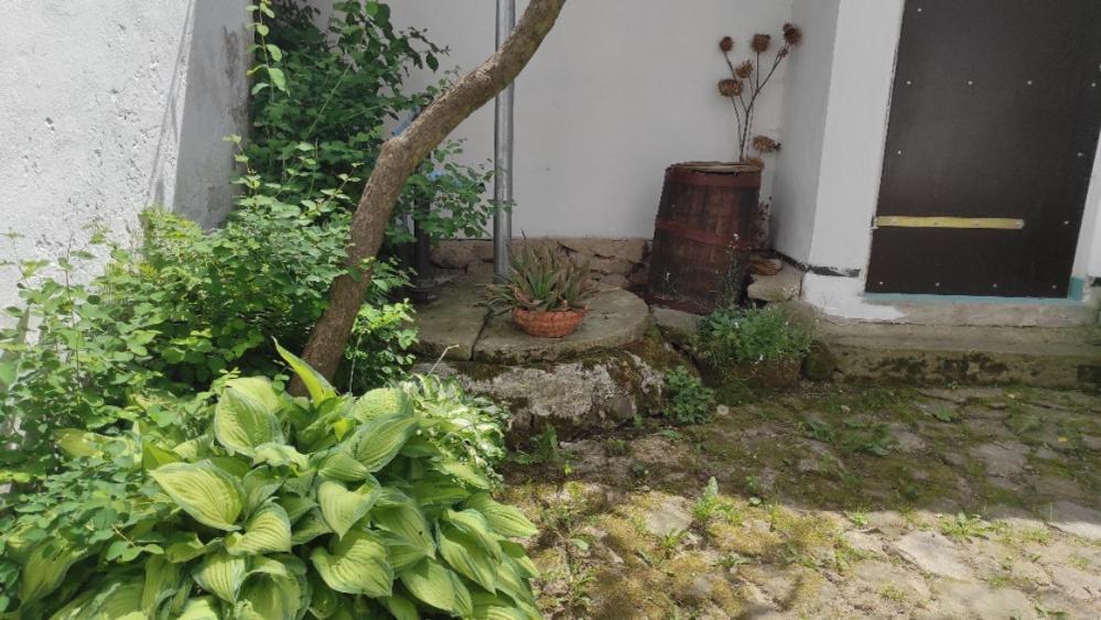 Ubytovani Pod Jilmem Zar Luaran gambar